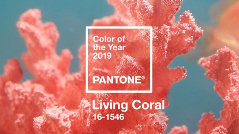 Recettes de cuisine couleur corail comme la couleur Pantone de l'année 2019 'Living Coral'