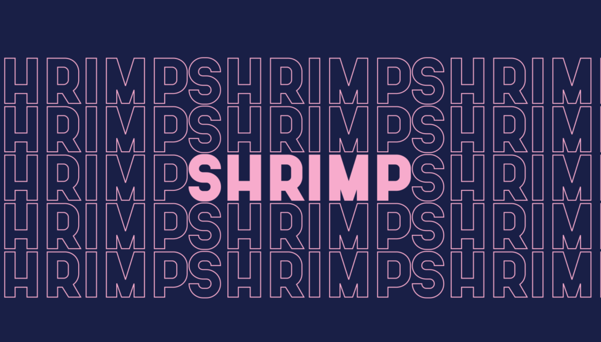 Typographie gratuite : Shrimp d’Anton Darri Pálmarsson – Marine Chapoutot